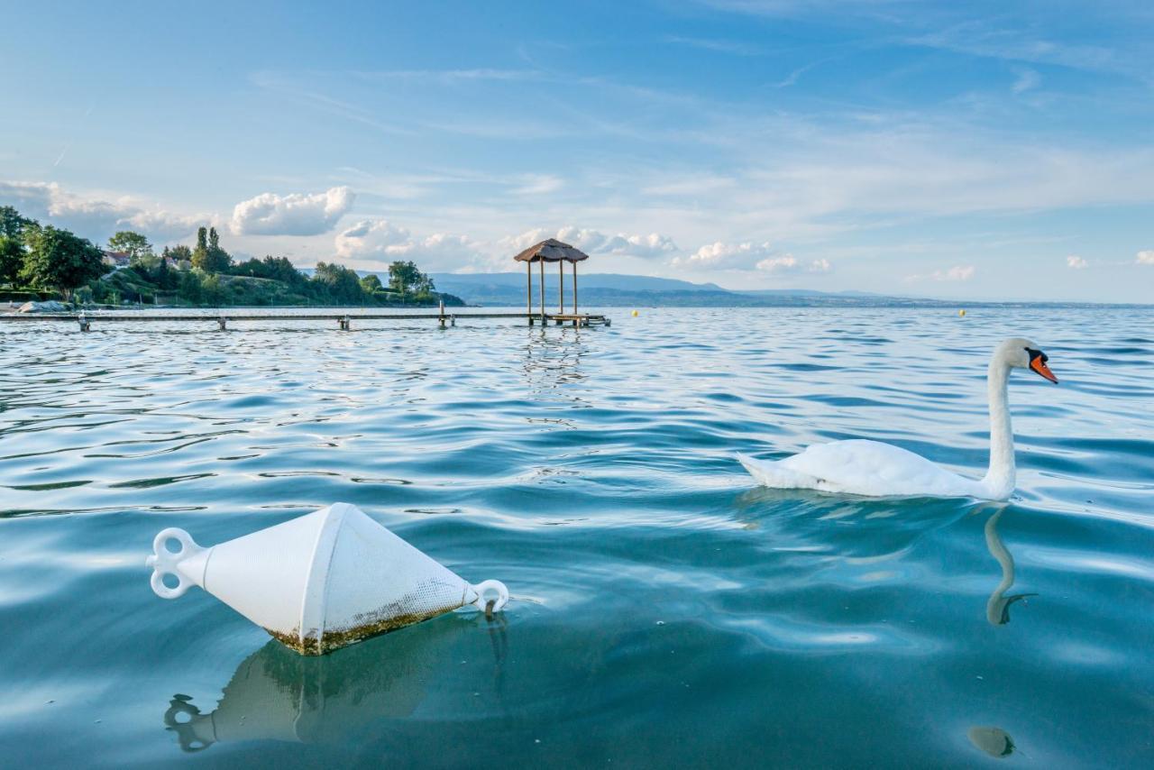 Hotel De La Plage Excenevex Ngoại thất bức ảnh